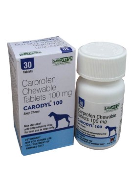 Sava Healthcare Carodyl 100 mg (30 tab)
